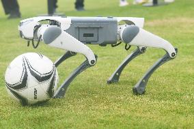 Robotic Dogs Play Soccer
