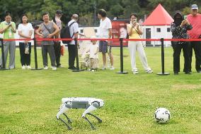 Robotic Dogs Play Soccer