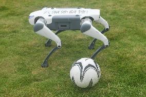 Robotic Dogs Play Soccer