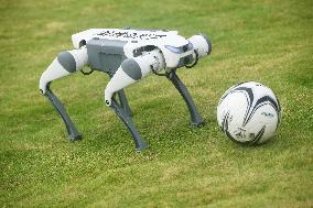 Robotic Dogs Play Soccer