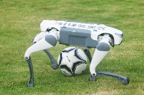 Robotic Dogs Play Soccer