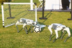 Robotic Dogs Play Soccer