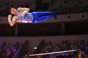 ALTRO - Ginnastica - 53rd FIG Artistic Gymnastics World Championships Men's Qualifications