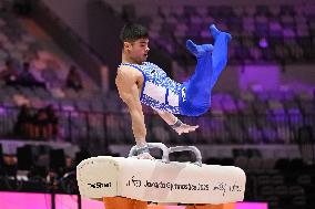 ALTRO - Ginnastica - 53rd FIG Artistic Gymnastics World Championships Men's Qualifications