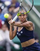 Tennis: Japan Open