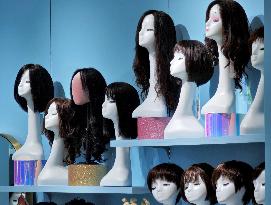 The Global Wig  Market