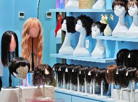 The Global Wig  Market