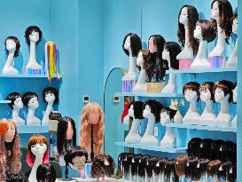 The Global Wig  Market