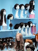The Global Wig  Market