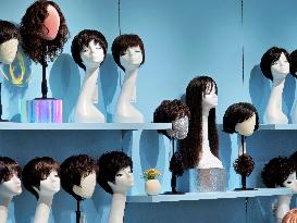 The Global Wig  Market