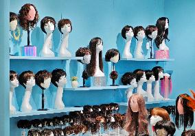 The Global Wig  Market