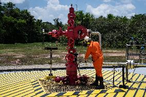 Urca Oil and Gas Production Field Development - Brazil