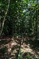 Urca Oil and Gas Production Field Development - Brazil