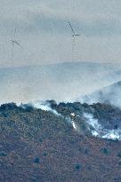 Forest Fire in Sierra de Elguea - Spain