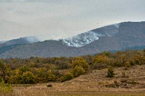 Forest Fire in Sierra de Elguea - Spain