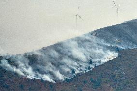 Forest Fire in Sierra de Elguea - Spain