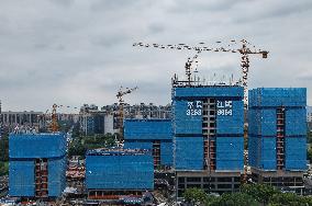 Real Estate Development Investment in China