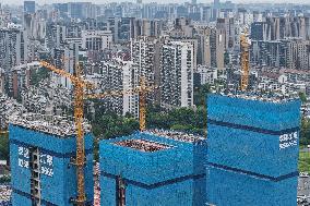 Real Estate Development Investment in China