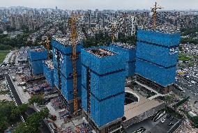 Real Estate Development Investment in China