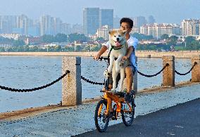 China's Pet Economy