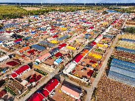 Chili Harvest - China