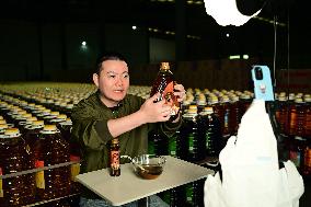 China Online Anchor Industry