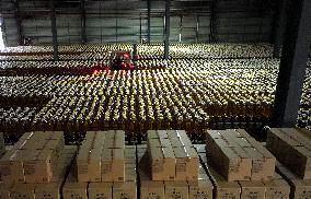 China Online Anchor Industry