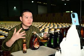 China Online Anchor Industry