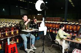 China Online Anchor Industry