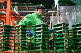 China Manufacturing Industry