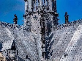 Details of Notre-Dame - Paris