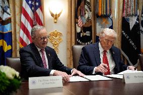 Donald Trump with Anthony Albanese - Washington