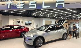 Tesla Model Y L EV
