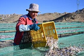 Longyang Gorge Fishery Tourism Development - China