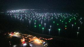 Longyang Gorge Fishery Tourism Development - China