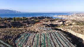 Longyang Gorge Fishery Tourism Development - China