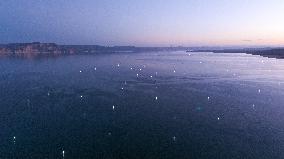 Longyang Gorge Fishery Tourism Development - China