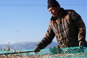 Longyang Gorge Fishery Tourism Development - China