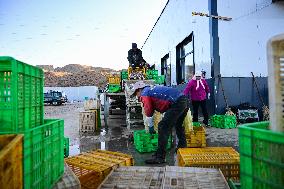 Longyang Gorge Fishery Tourism Development - China