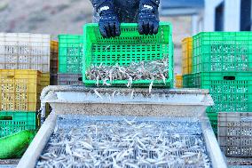 Longyang Gorge Fishery Tourism Development - China