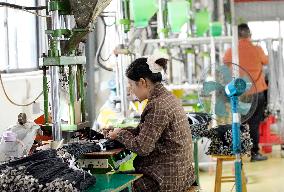 Data Line Manufacturing in Liuzhou