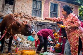 Festival of Lights - Nepal