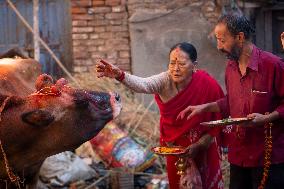 Festival of Lights - Nepal