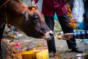 Festival of Lights - Nepal