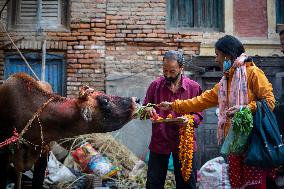 Festival of Lights - Nepal