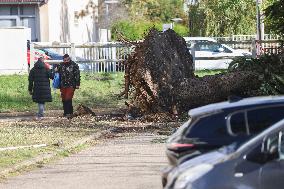 Tornado Damage Aftermath - Ermont