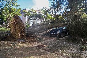 Tornado Damage Aftermath - Ermont