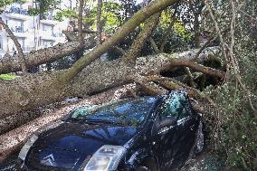 Tornado Damage Aftermath - Ermont