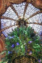 Illustration - Noel in Paris