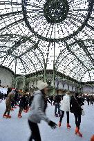 Illustration - Noel in Paris